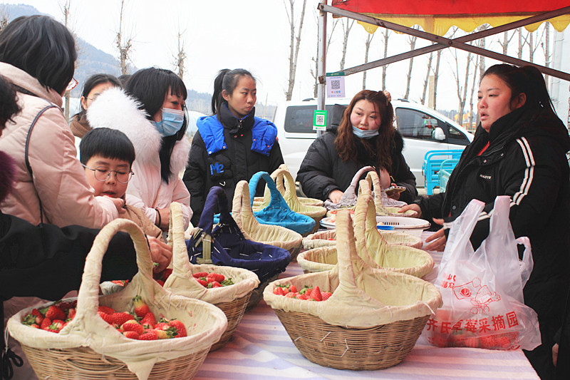 ݮhc´ | f(zhn)ɽڲݮժȤweζ