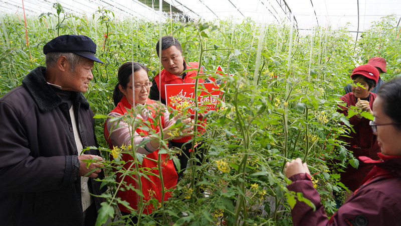 l(xing)d | Ѕ^(q)·ֵՈr(nng)_չNֲgָ