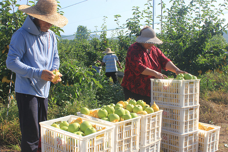 óЅ^(q)ǰ@(g)@