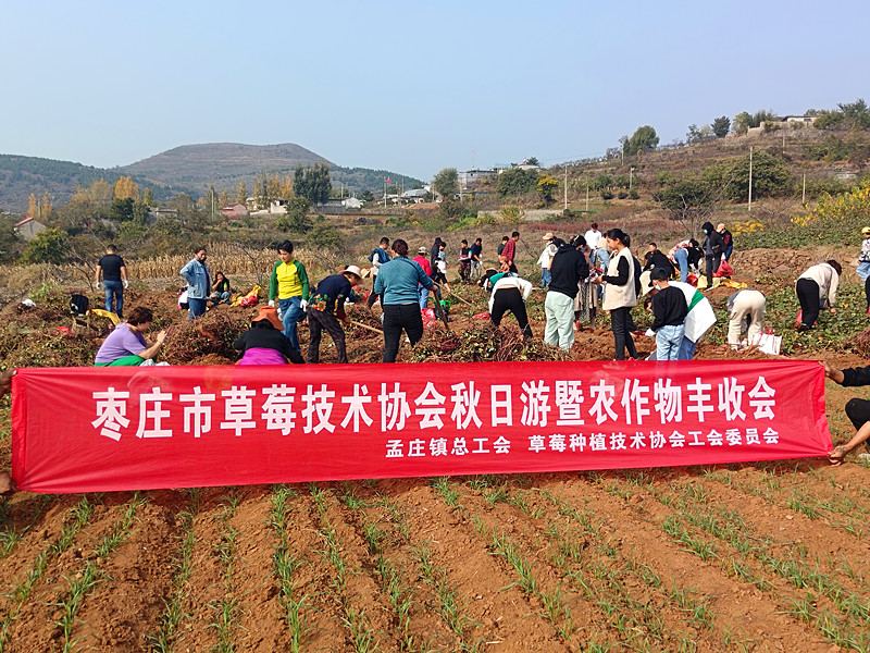 Ѕ^(q)ݮNֲg(sh)f(xi)(hu)_(ki)չȤζڼt l(xing)d(dng)