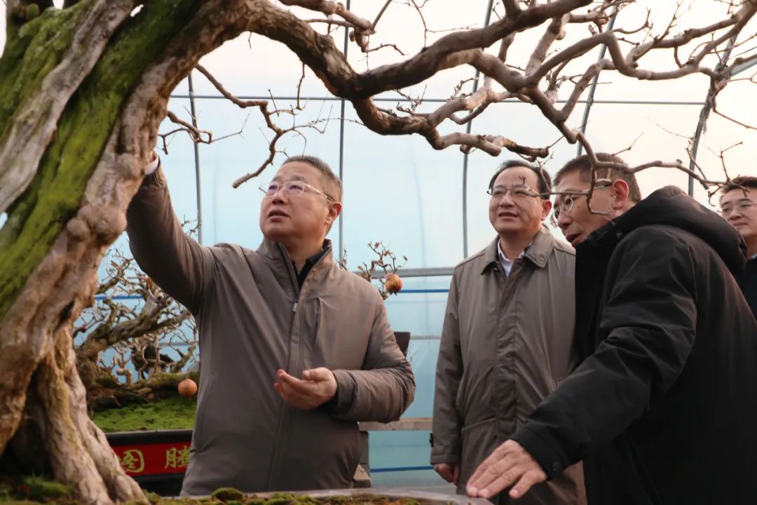 fίӛίӛށFǅ^(q){(dio)ʯa(chn)I(y)l(f)չ